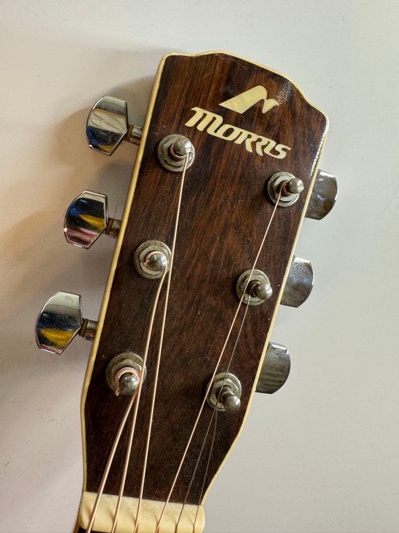 Morris Ｍ-501　アコースティックギター　アコギ　ギター