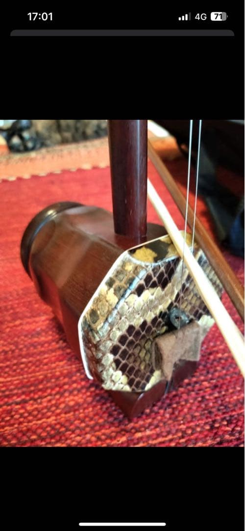 付属品充実！二胡本体と一式 ケース・教本DVD付き