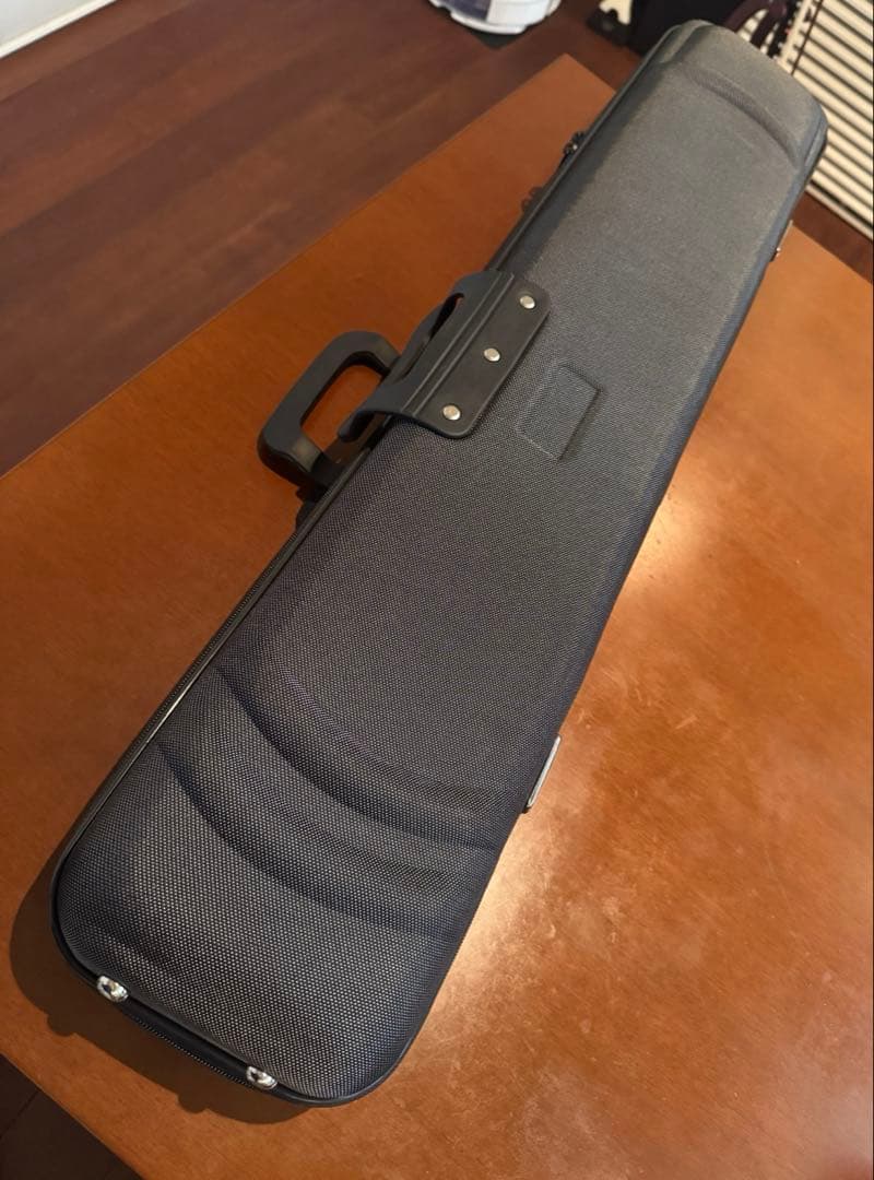 名師堂 黒檀 二胡 弓あり ケース付き 中国弦楽器