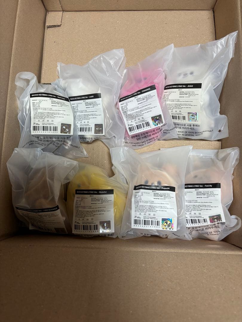 SKZOO KEYRING LYING Ver. - celebrATE8コンプ