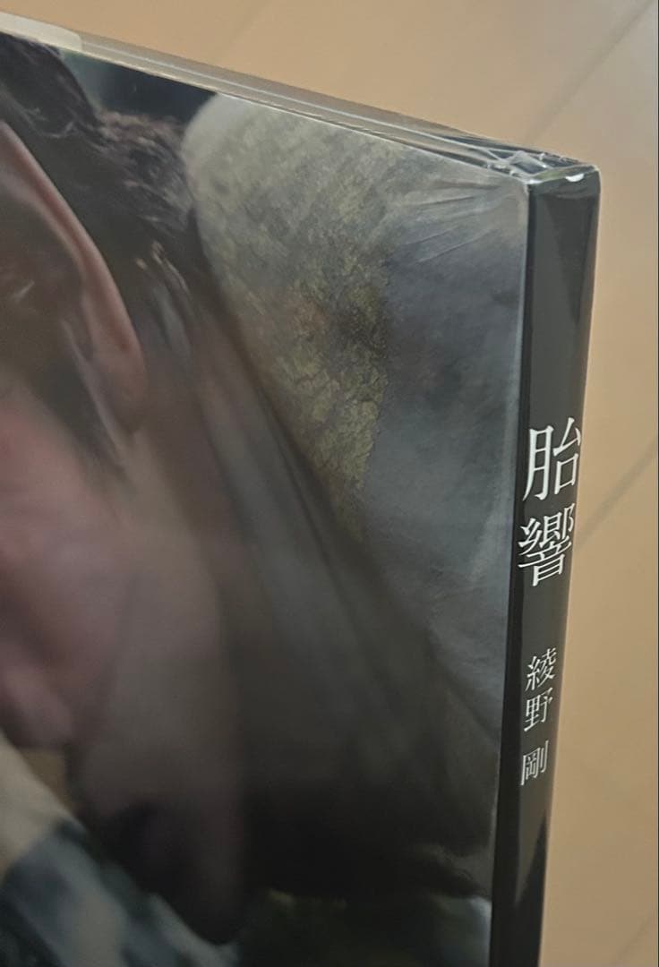 【新品未開封】胎響 綾野剛写真集