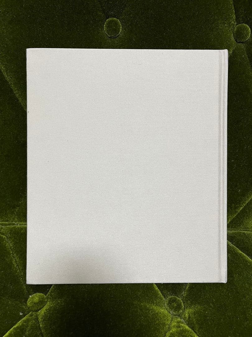 Fan Ho: A Hong Kong Memoir 何藩