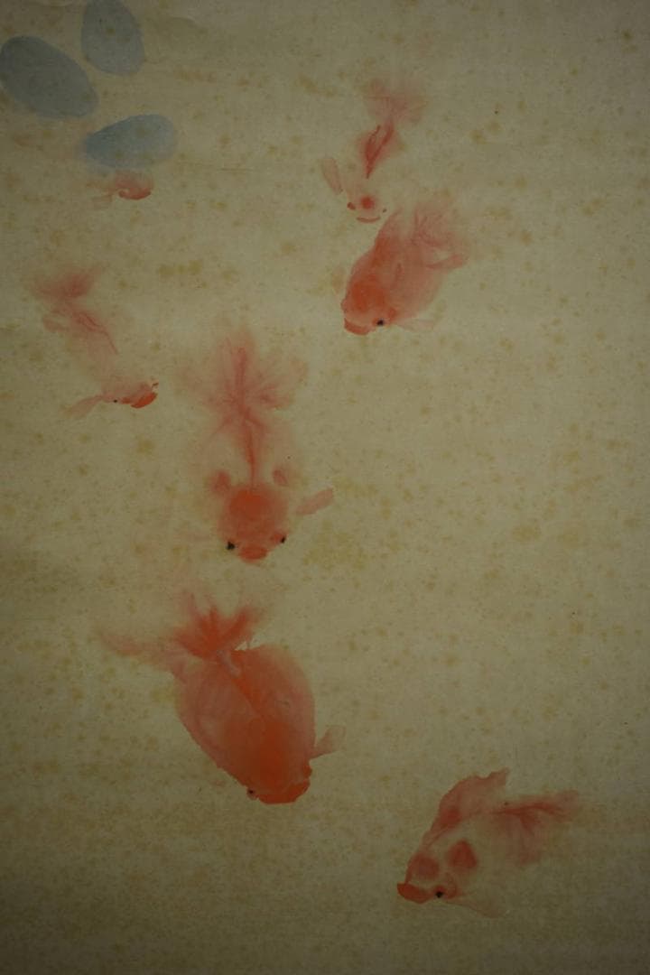 真作/下村為山/蓮池魚楽図/金魚図/桐共箱二重箱付/布袋屋掛軸HI-271