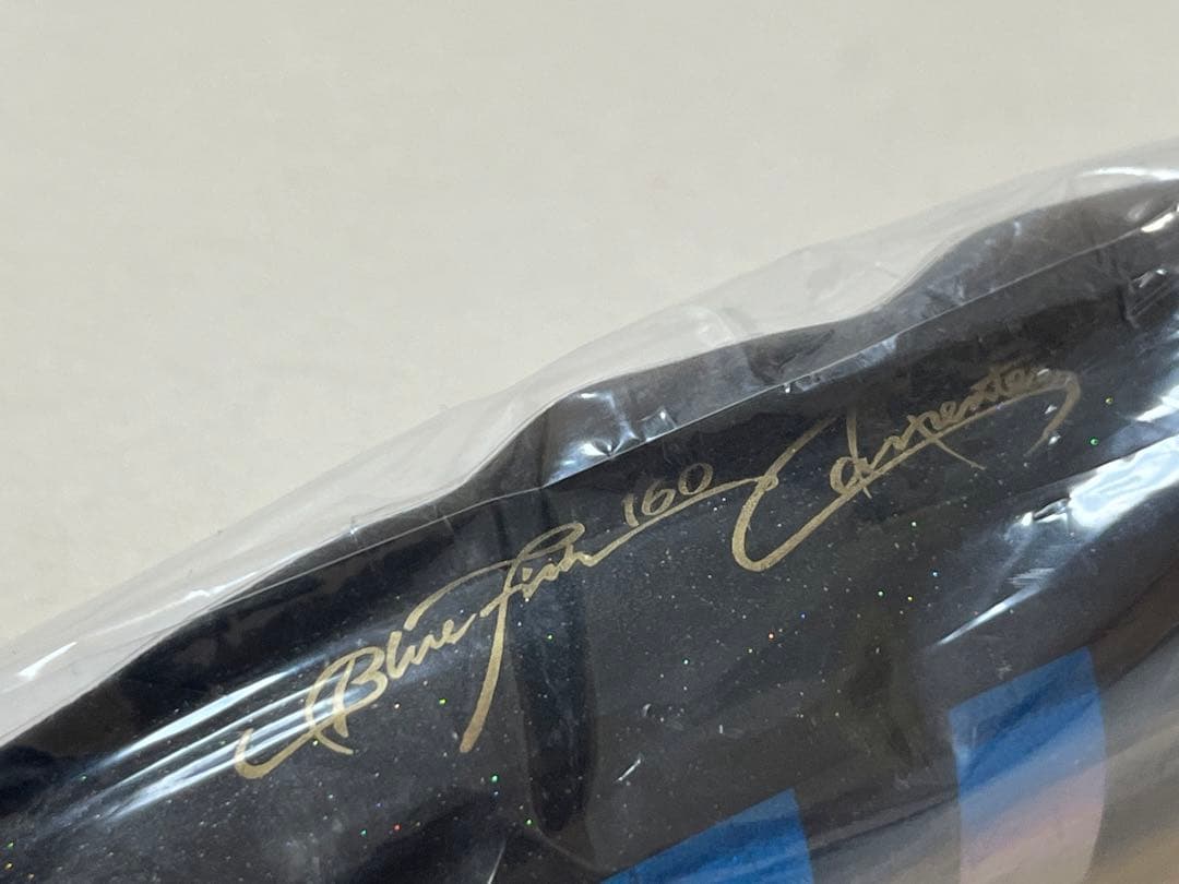 ブルーフィッシュ160【FISH】　カーペンター　carpenter γ BF