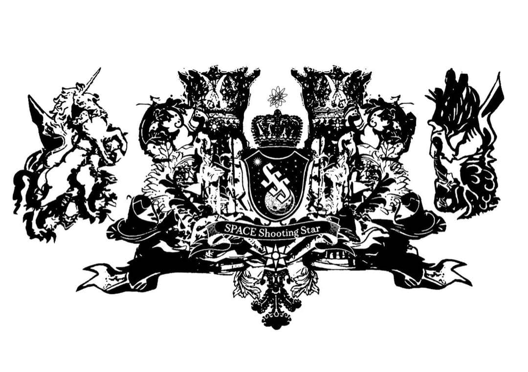 本物の流れ星の粉✨✨✨⭐️隕石⭐️✨✨✨