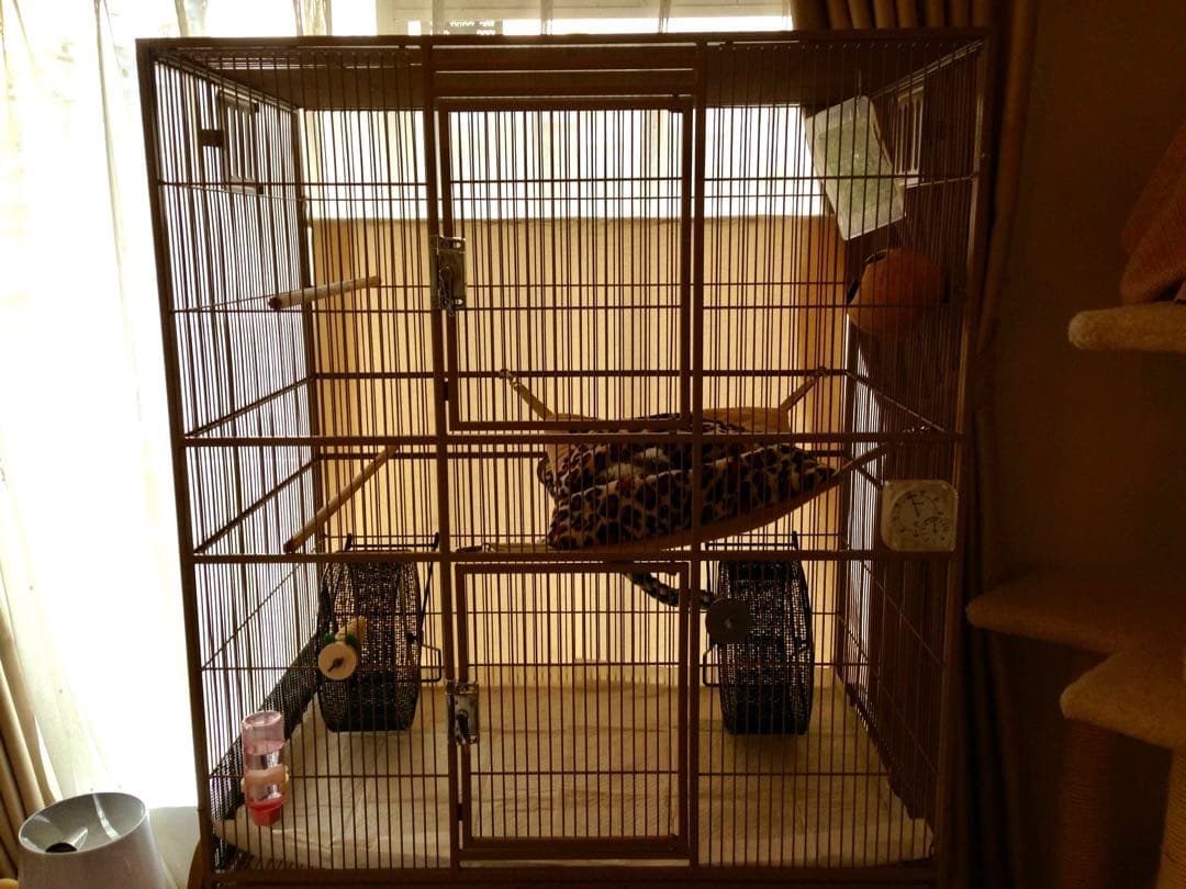 ケージ・アクセサリー EXOTIC NUTRITION Sugar Glider Cage