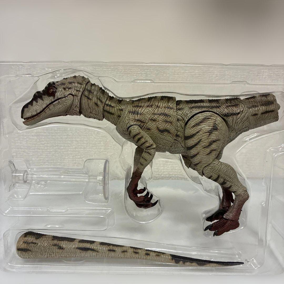 本心楠改　ヴェロキラプトル　雄　雌