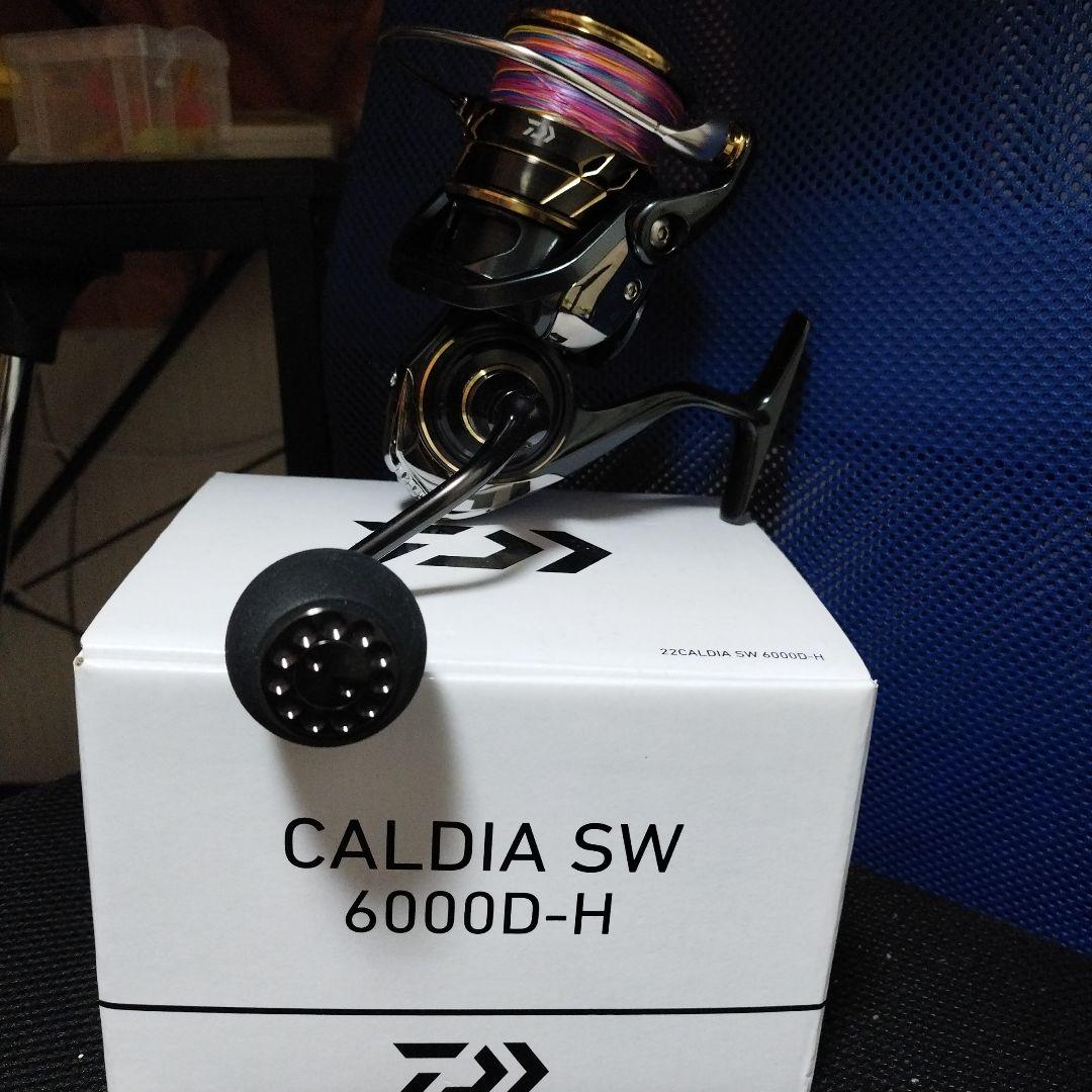 22カルディアSW 6000D-H 新品未使用