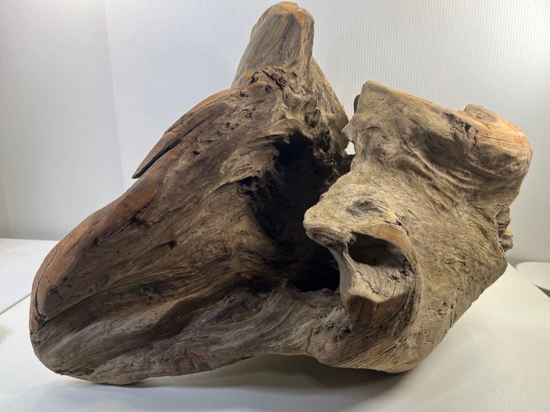 k64大型流木 アク抜き済み 爬虫類シェルター レイアウト用 登り木 インテリア