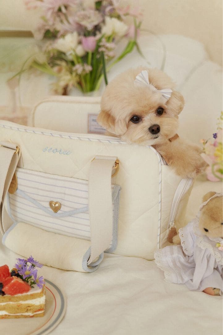 seoru ballon bag キャリーバッグ 犬 Sサイズ フルセット