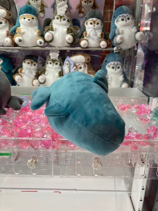 即購入可！ mofusand サメにゃん ぬいぐるみ2 ８種セット
