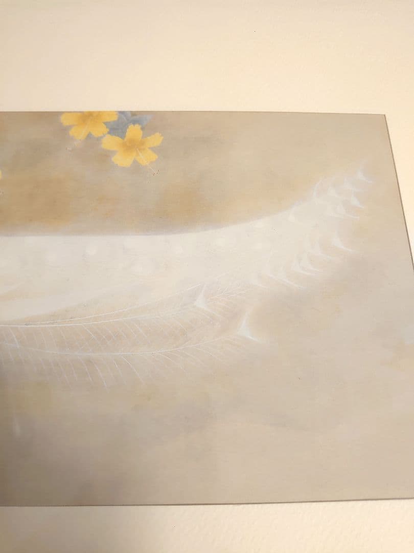 ✨白孔雀 花鳥 上村松篁　全8枚✨