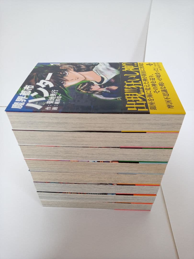 魔界都市ハンター 全巻初版セット
