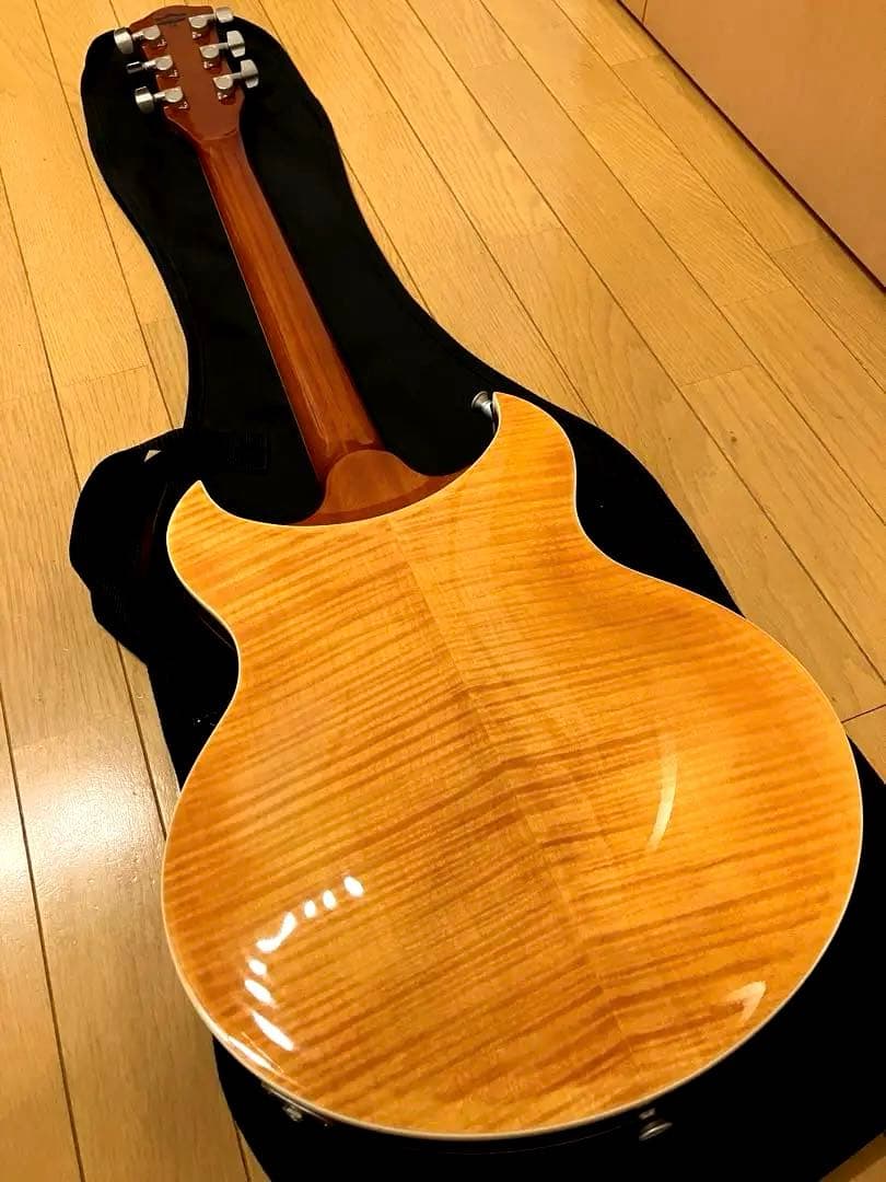 ギター VOX HDC-77