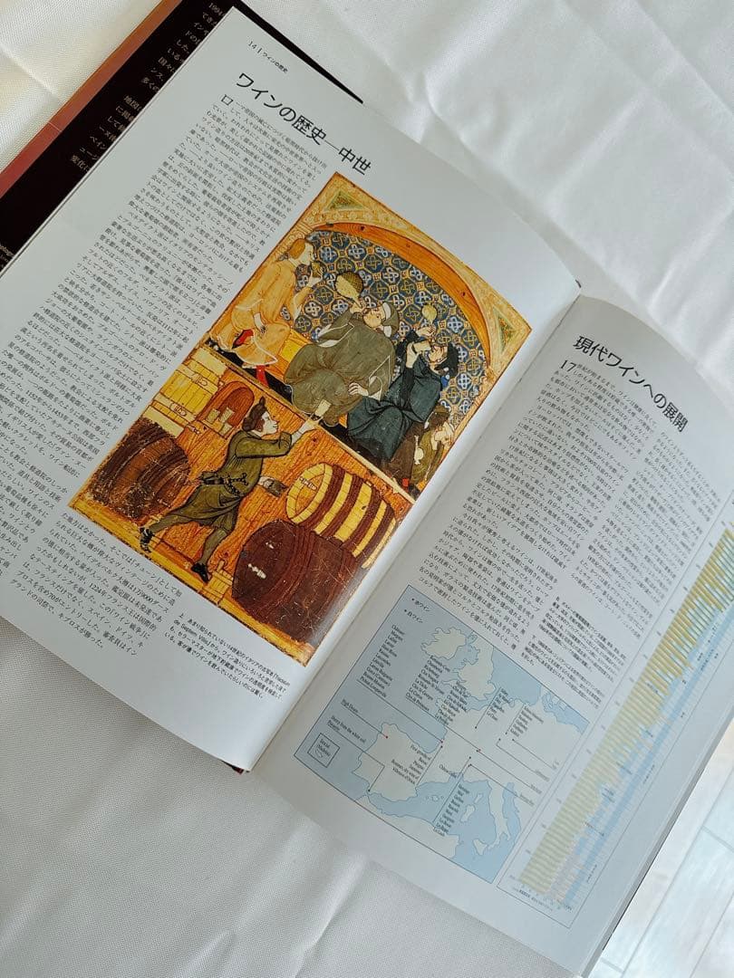 【美品大型本】地図で見る世界のワイン/ヒュー・ジョンソン　ジャンシス・ロビンソン