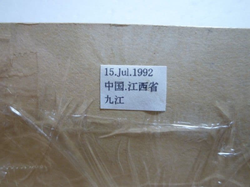 ヘルマンミヤマクワガタ♂/L.hermani/江西省.九江産/83.5mm