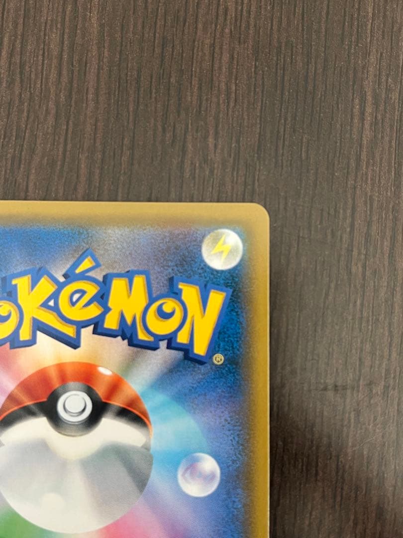 「極美品」ムサシとコジロウ　sr