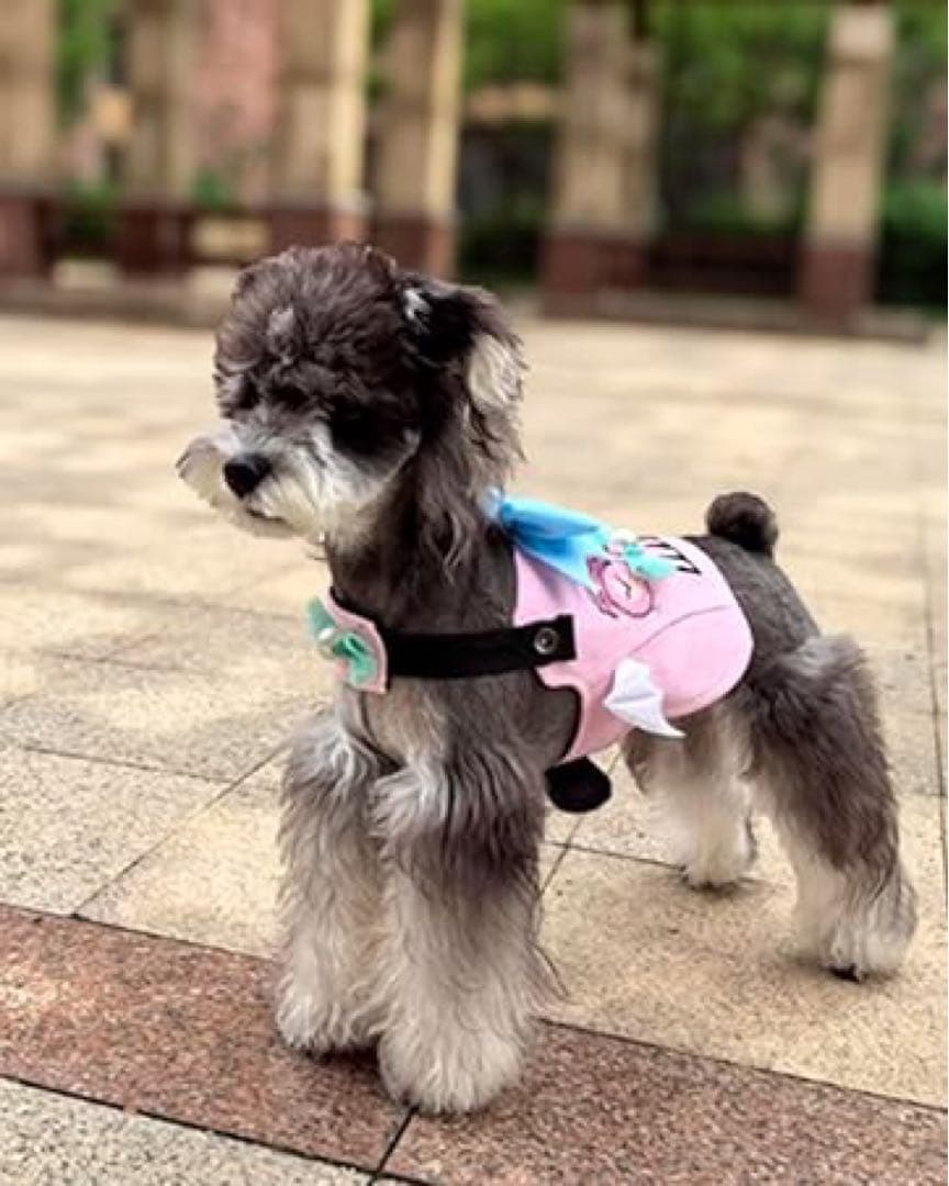 犬用ハーネス 調整可能 リード ベスト ハーネス ピンク かわいい XXL