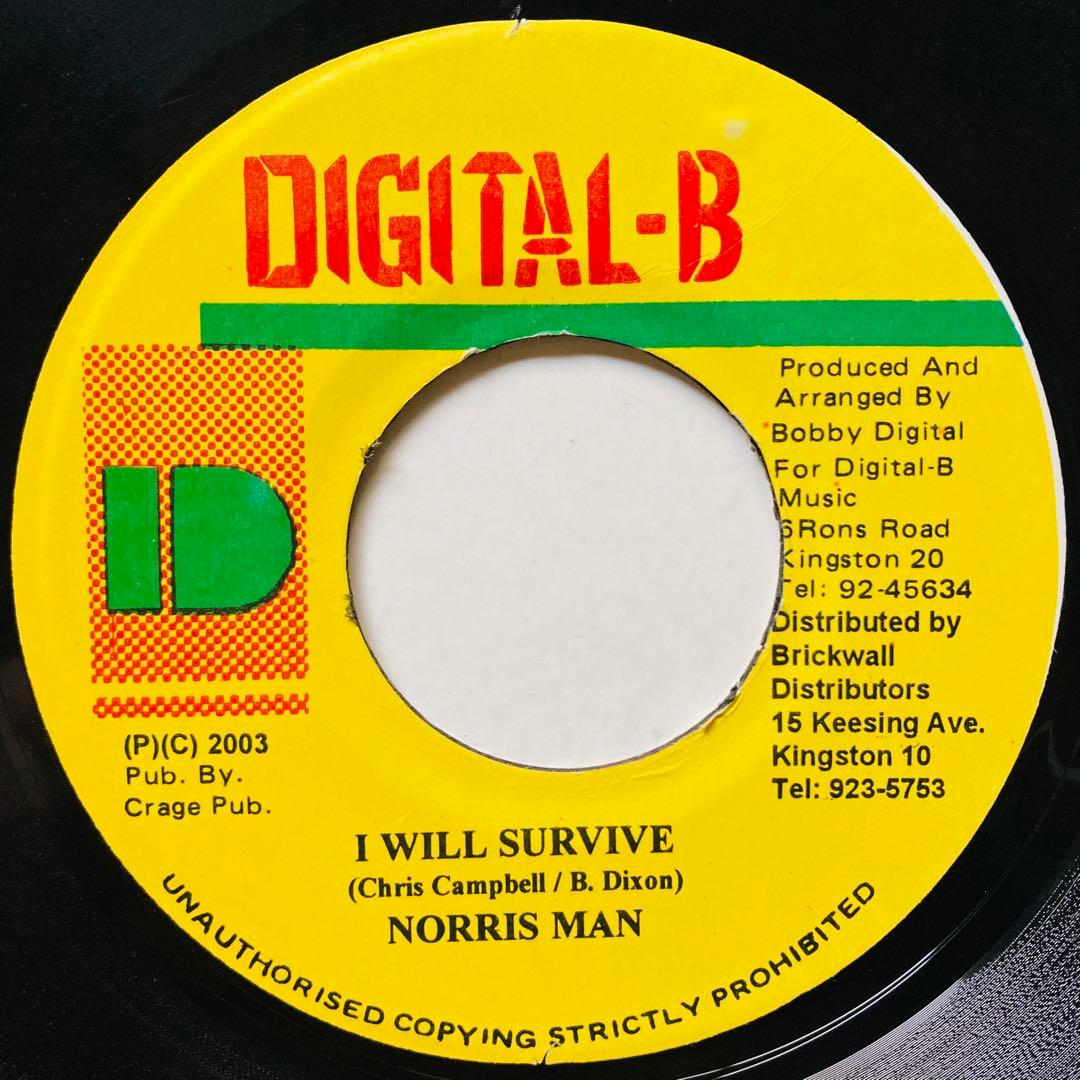 レゲエ THANK YOU MAMA リディム 8枚