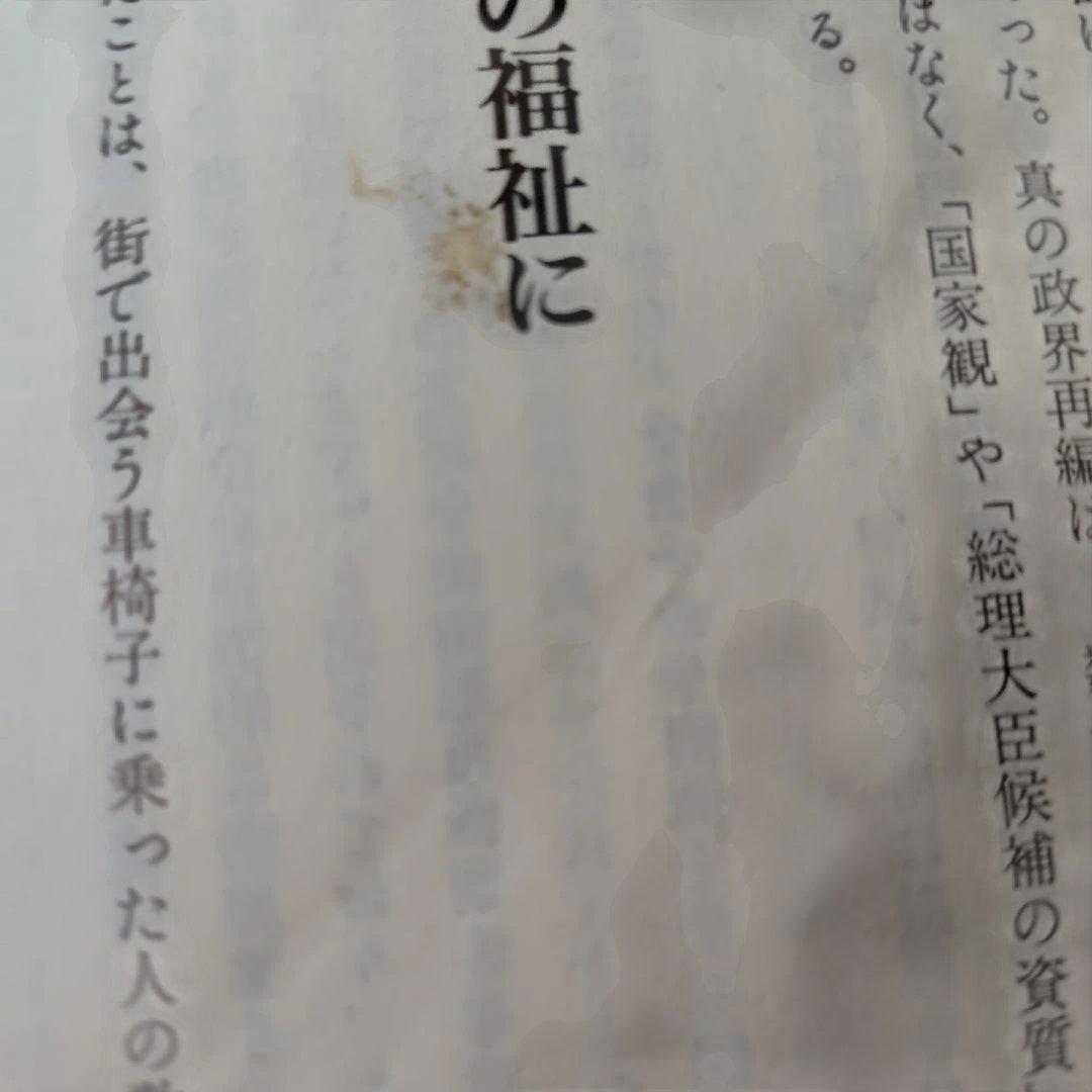 高市早苗のぶっとび永田町日記