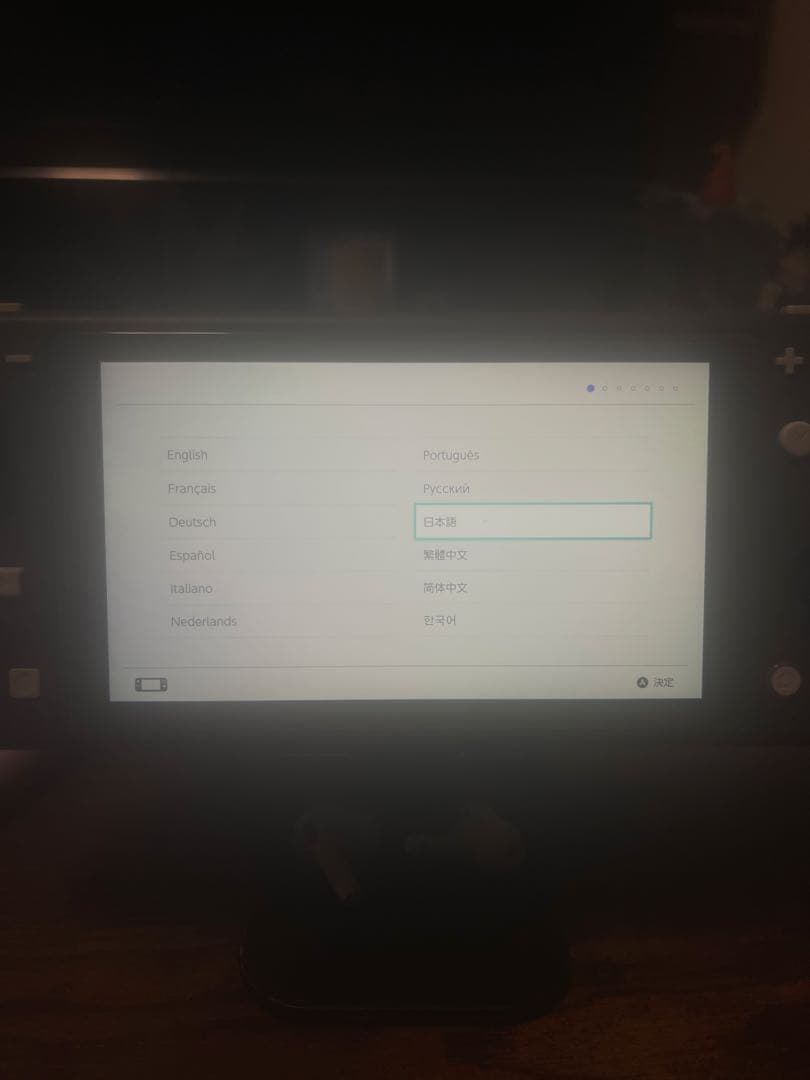 Nintendo Switch Lite グレー 本体 カバー付き