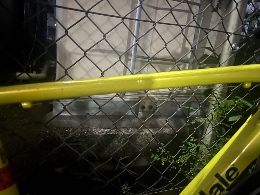 CANNONDALE CAAD OPTIMO3 2021年モデル ロードバイク