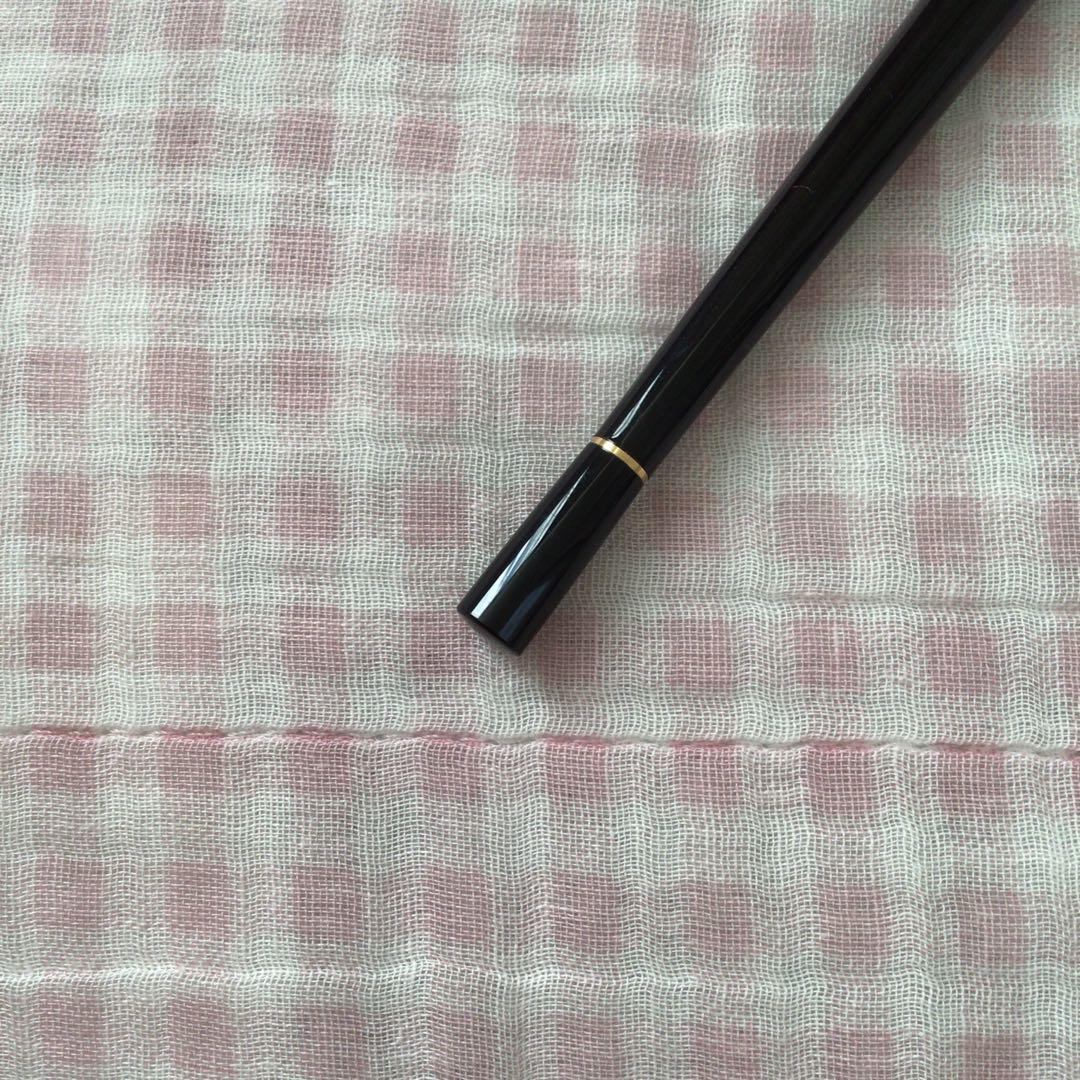 パイロット 14K 14金 万年筆 デスクペン 極細 EF 黒 廃盤