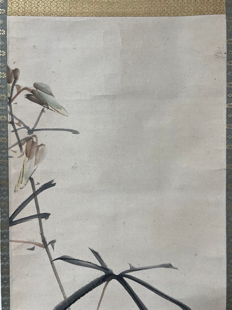 掛け軸 松村景文 絵［花ノ図］京都生 紙本　肉筆　共箱！