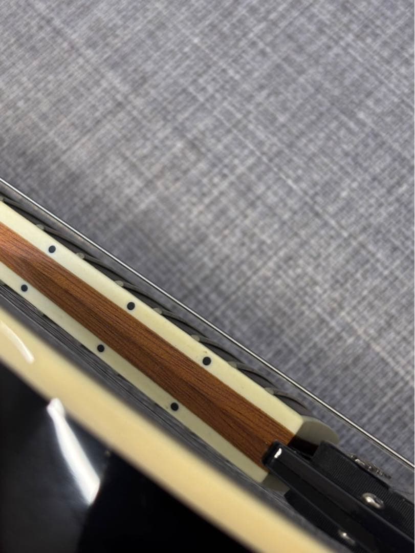 ⭐︎DONNER ドナー エレキギター ソフトケース 初心者 入門用