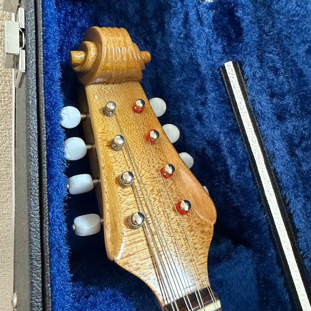 【最上位機種】SUZUKI スズキ　マンドリン　M-150 ハードケース付