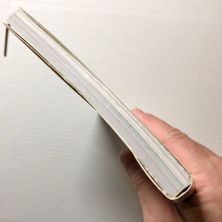 村上 隆／ふしぎの森のDOB君 ― 村上隆1st作品集