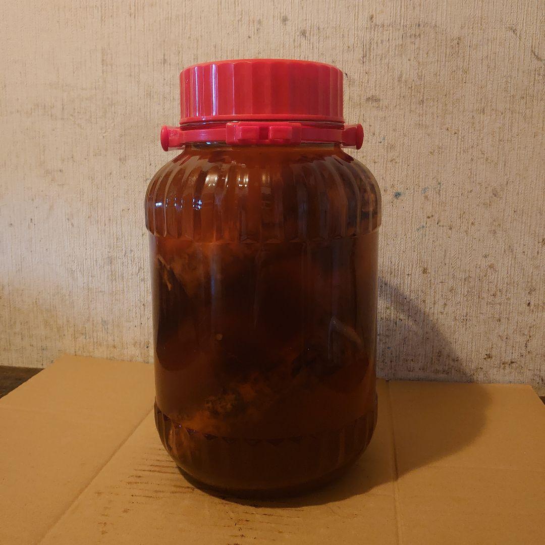 奈良県吉野山系吉野の天然物ツルニンジン酒5Ｌ ツルニンジン酒5Ｌ入り