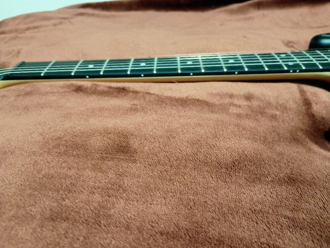 【最終値下げ品】エレキギター SELDERセルダー STC-04 マットブラック