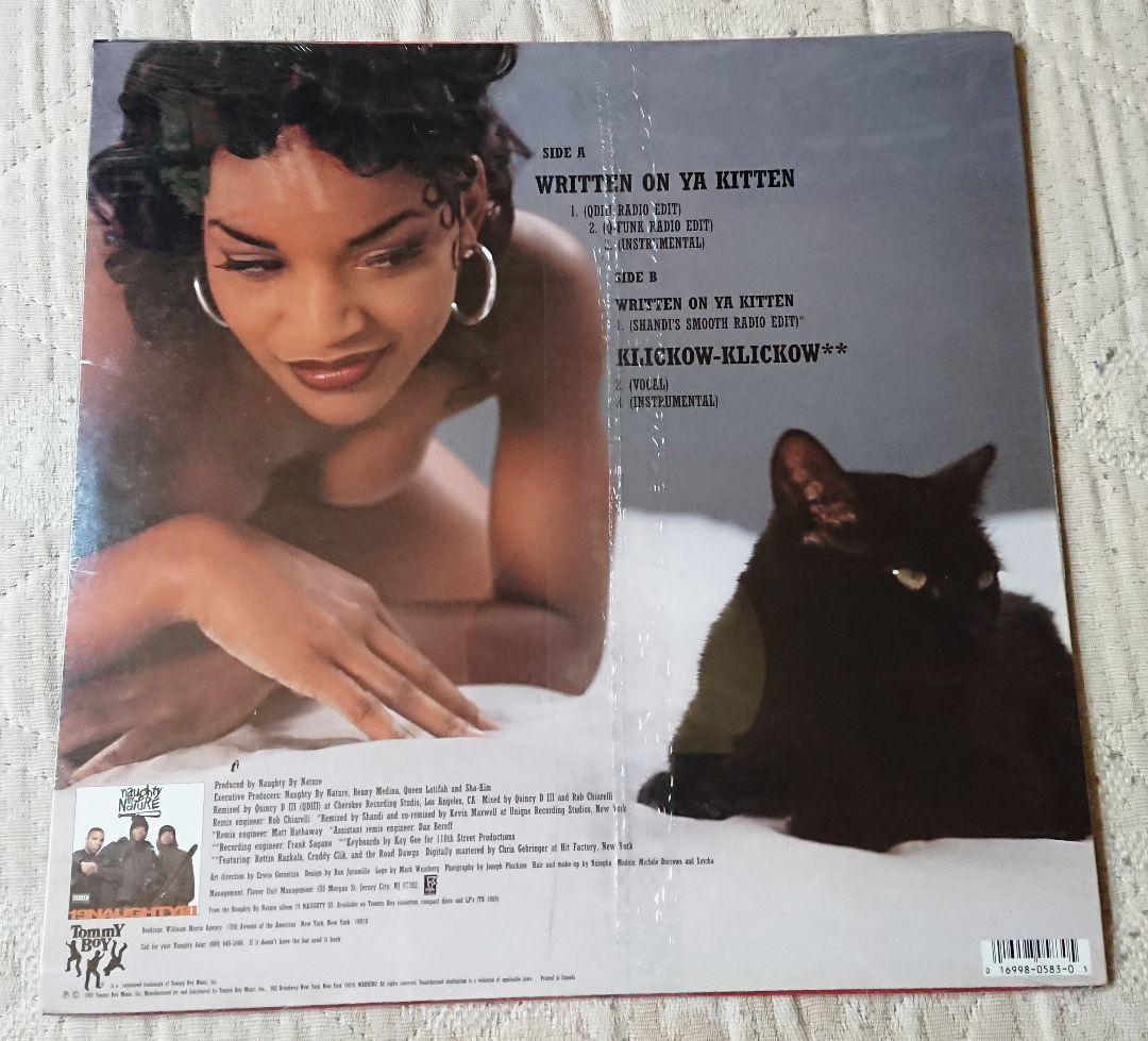 未開封 新品 シールド NAUGHTY BY NATURE USオリジナル