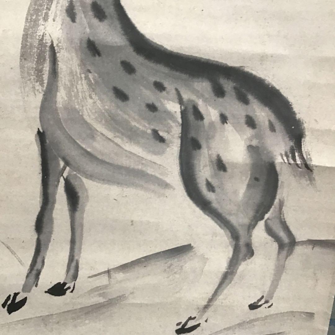 K茶道具　掛軸「鹿」狩人にこそ角はあれ鹿の声　横井也有画讃　栞共　S1011KJ