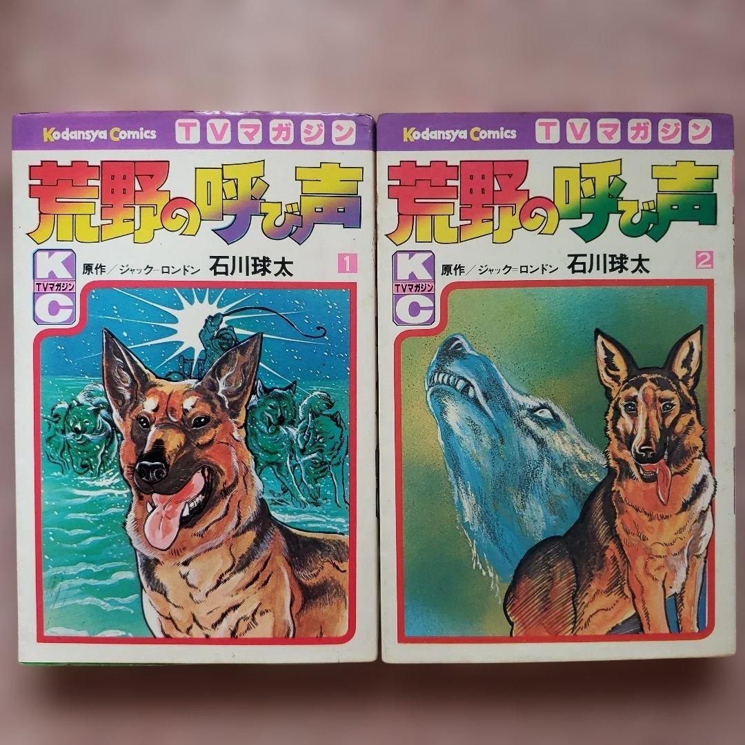 テレビマガジン　昭和　テレビランド　冒険王　てれびくん　ミクロマン