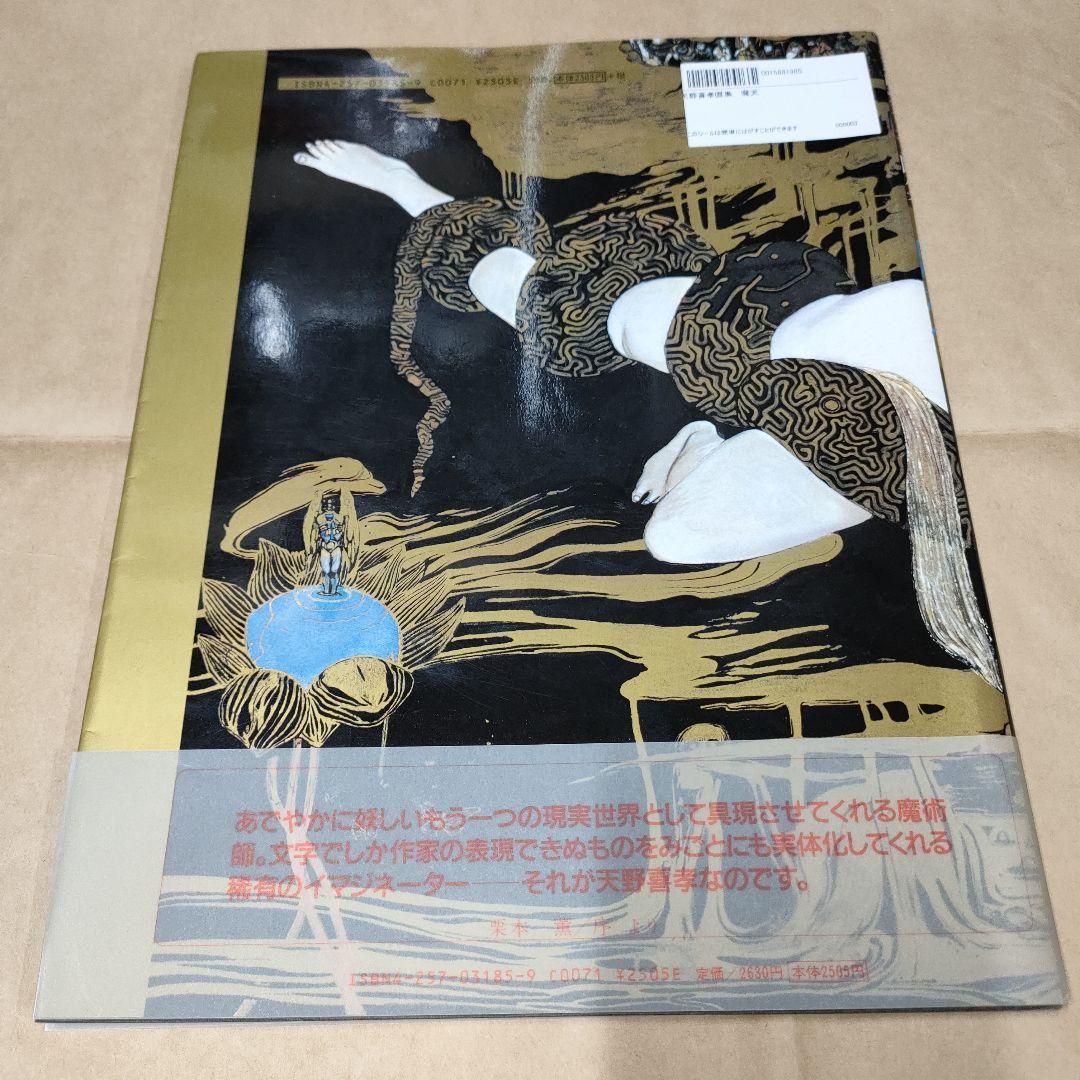 天野喜孝 画集まとめ売り