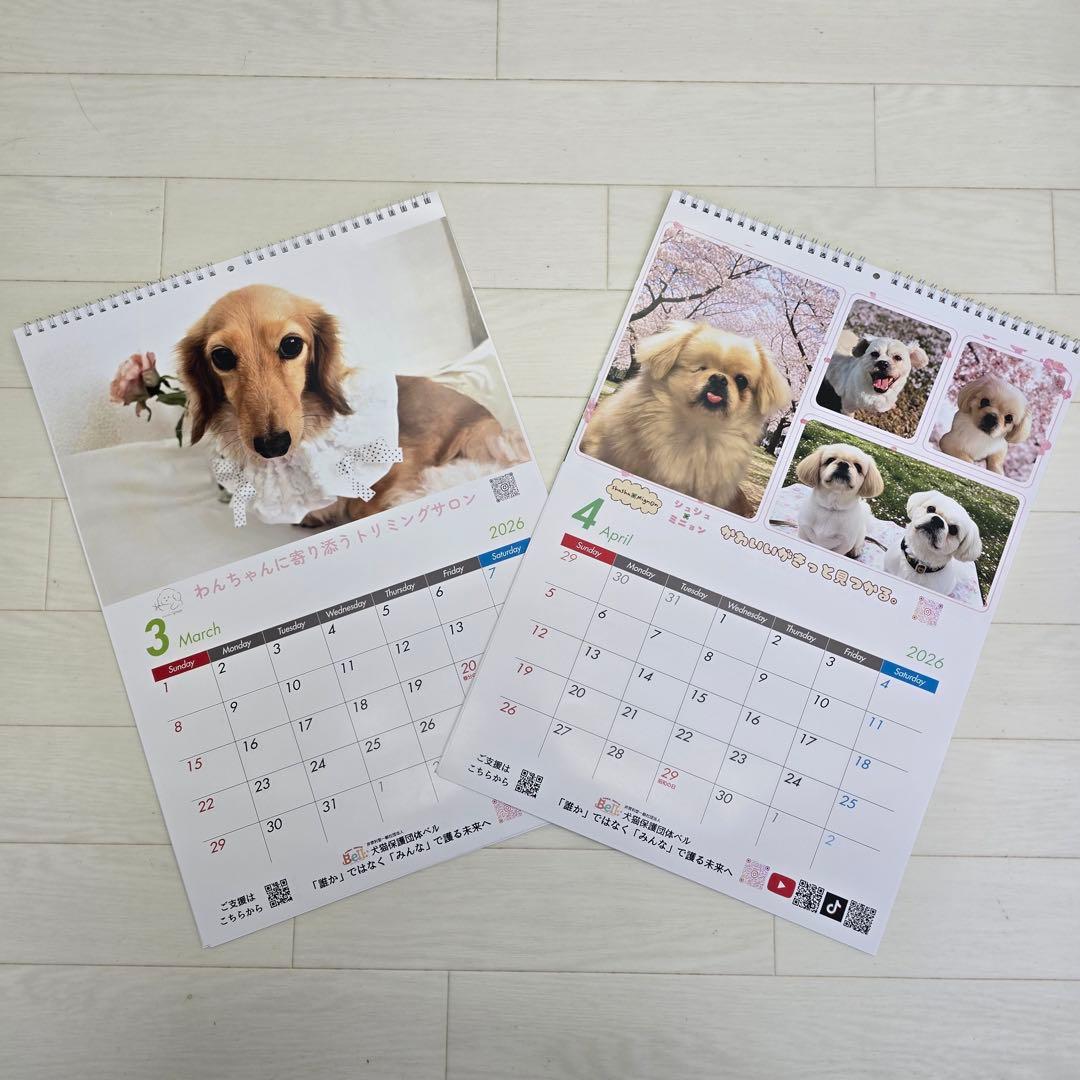 ①『犬』壁掛けチャリティーカレンダー10枚セット
