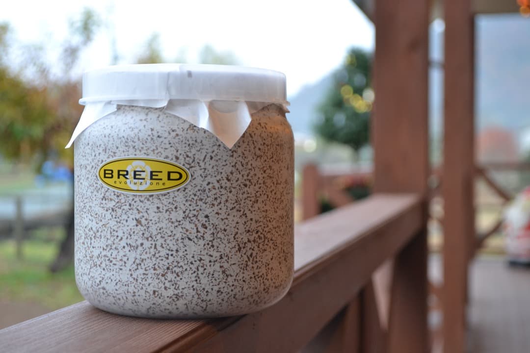 大型・美形クワガタ飼育用　BREED菌糸ビン　1500ml　20本セット／菌糸瓶