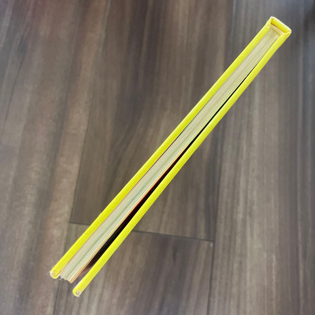 初版　いちごの王さまのメッセージ　生きていることのすばらしさ　辻信太郎　鈴木賢治