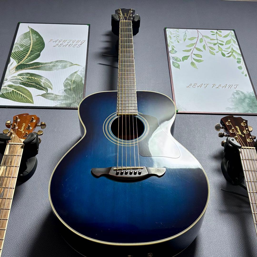 【美品エレアコ】James JF400-SBB fishmanプリアンプ装着