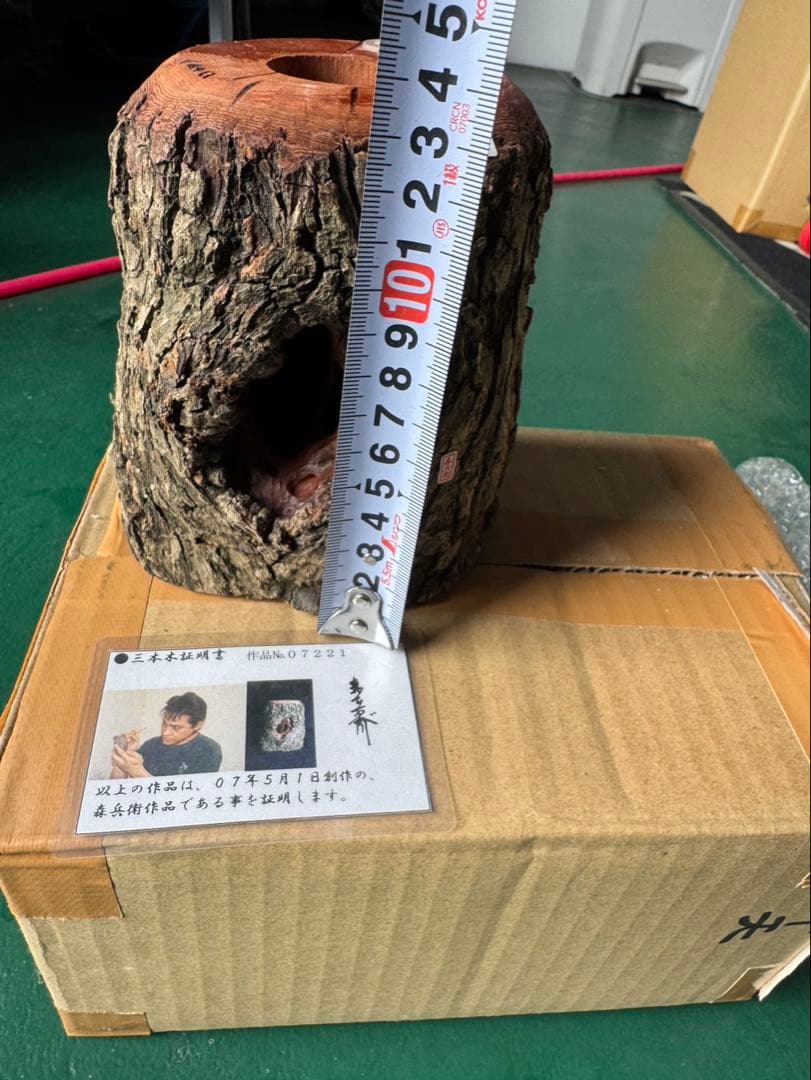 三本木　森兵衛A+Ω クラフトウッド　「クワガタ」