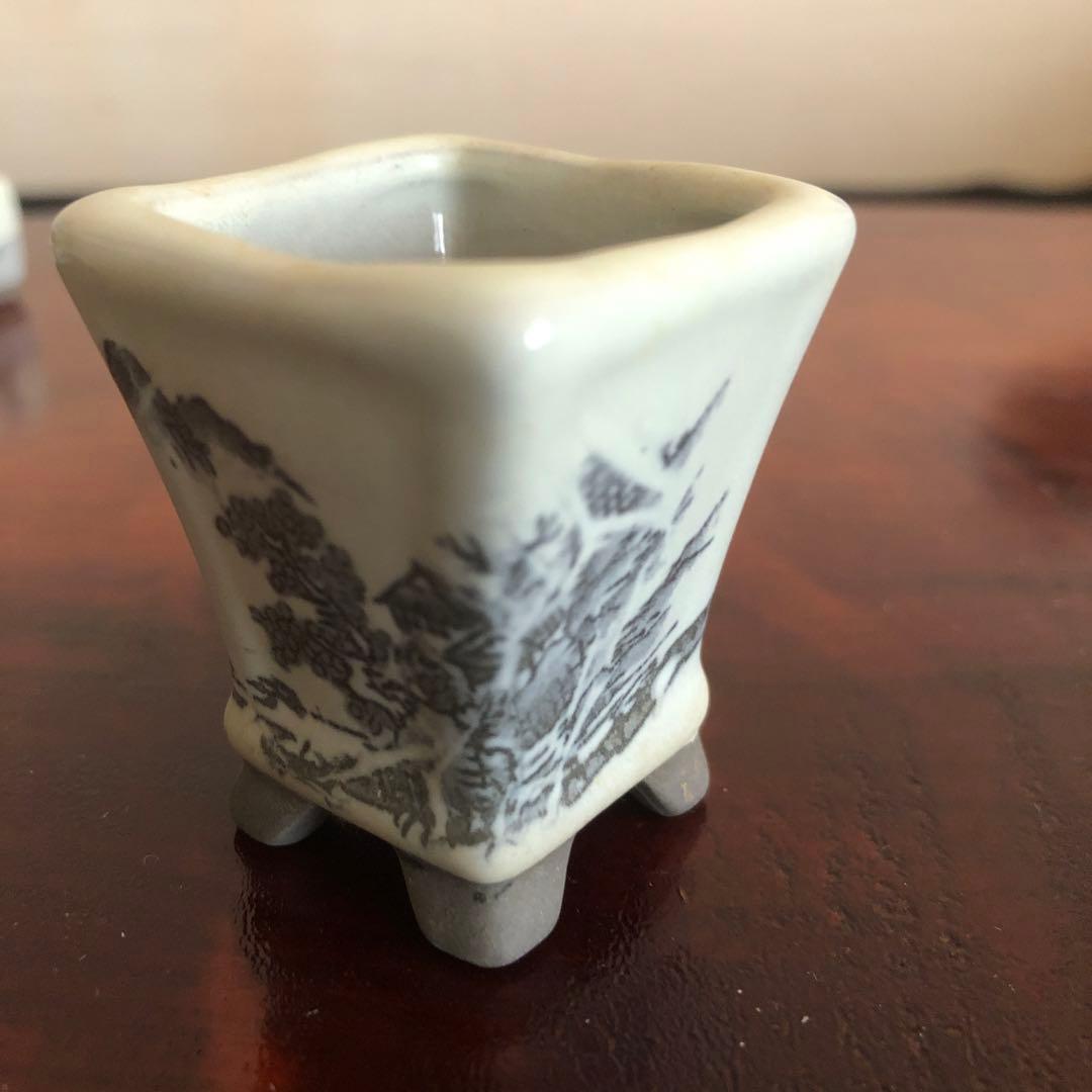 小品盆栽　サボテン　植物鉢 8点組　絵柄6点　小餅庵2点