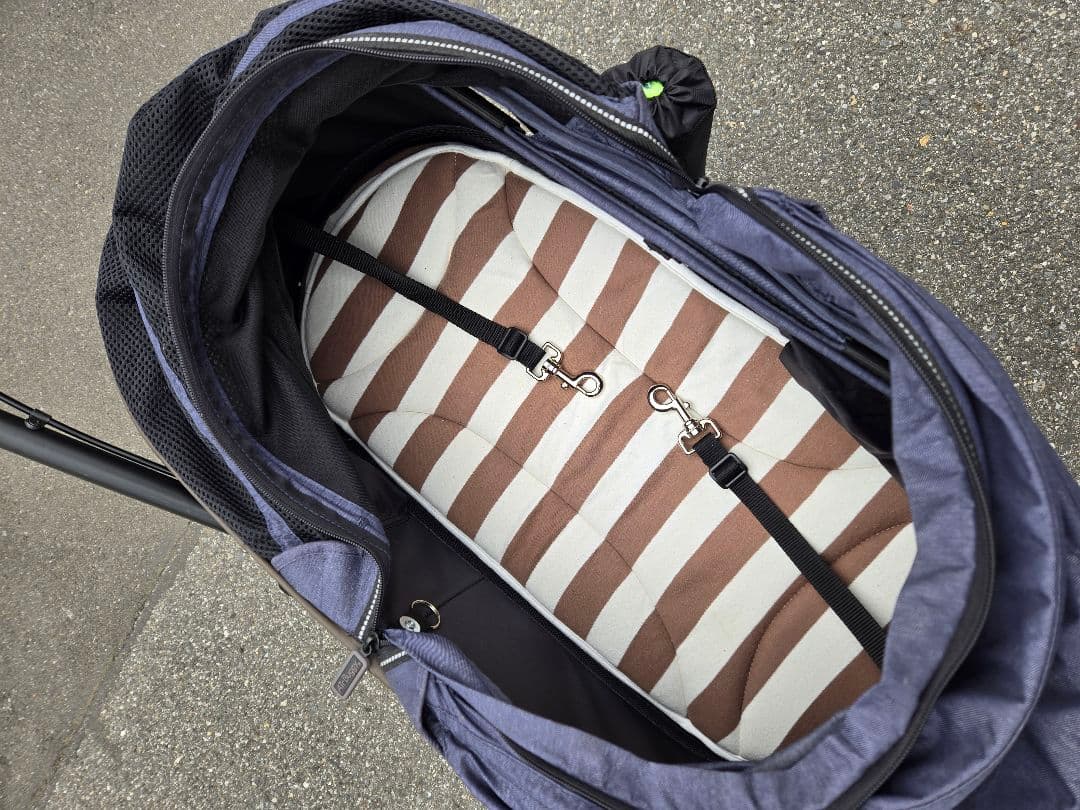 エアーバギー ドックDOME2 ネイビー限定商品