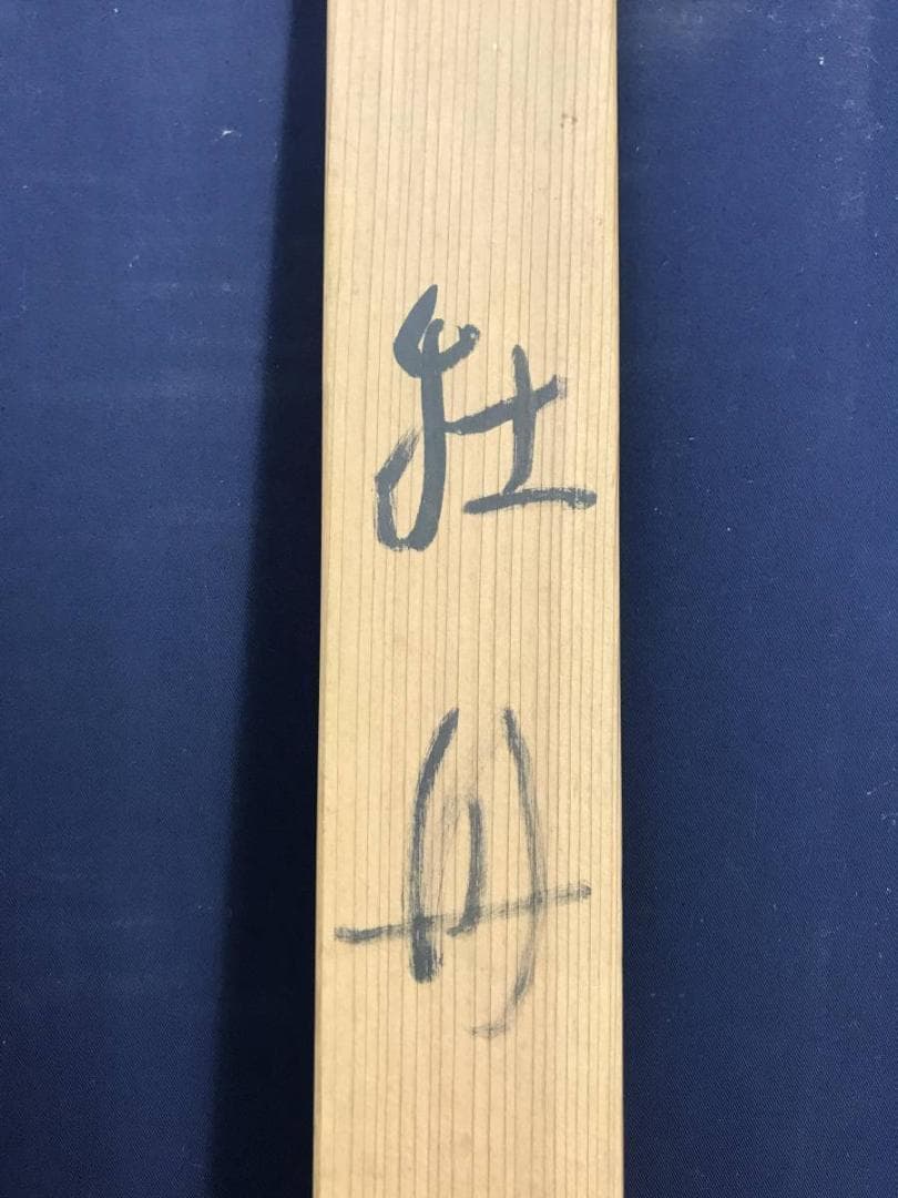 【真作】壷天子/牡丹図/花図/ボタン図/横物/掛軸☆宝船☆AD-559