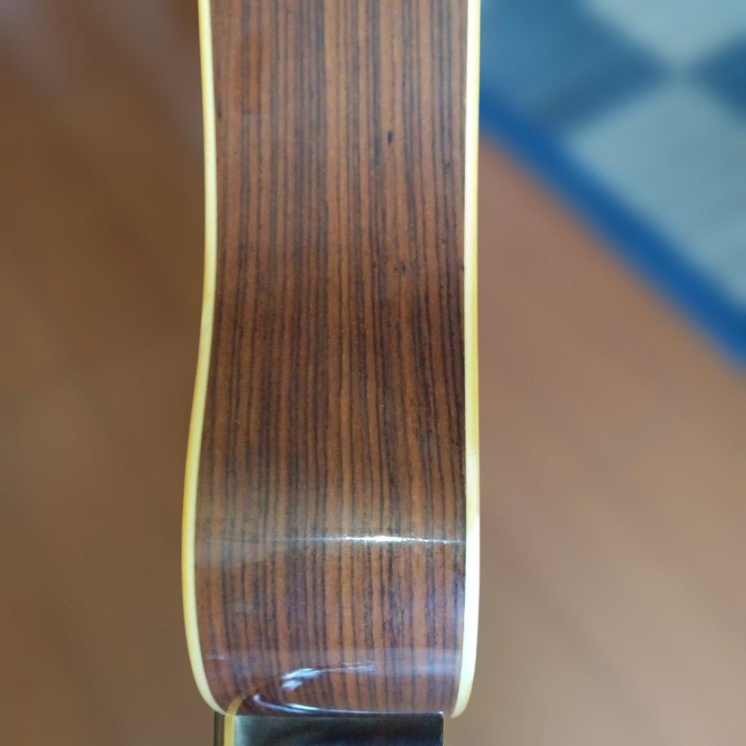 Tokai CE-250 Cat's Eyes アコースティックギター