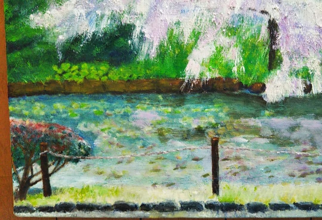 油絵 風景画 神奈川三渓園の枝垂桜【4月】P10