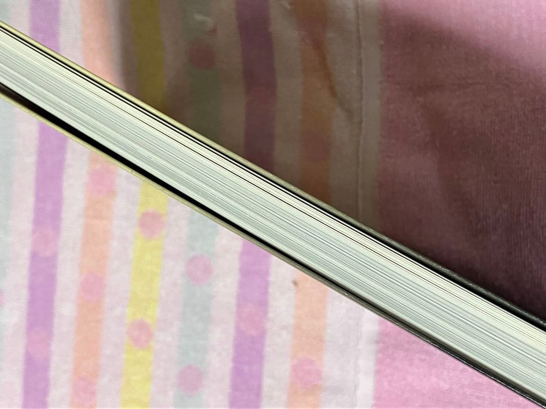 セール中　画集　絵画　芸術　アート　美術　図録　ロシア絵画　東ヨーロッパ　東欧