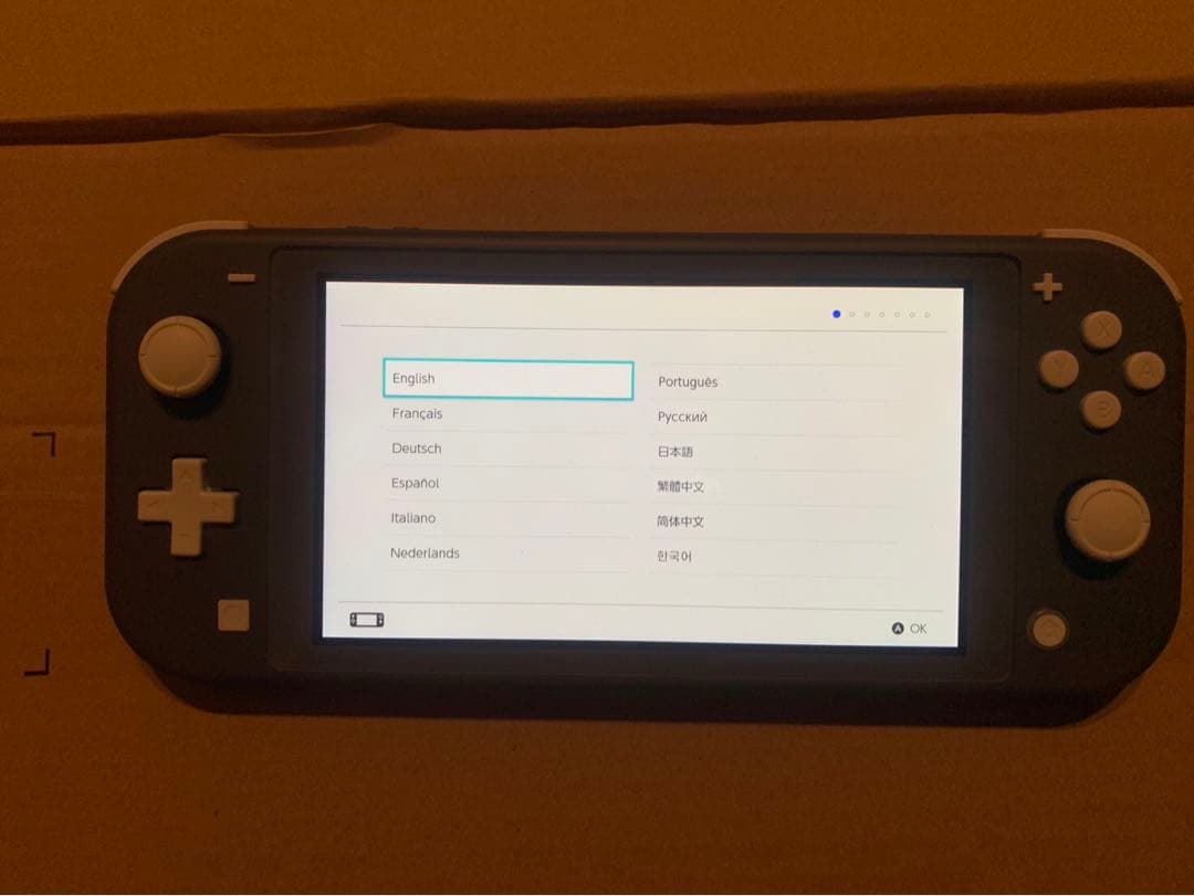 Nintendo Switch Lite SDカード&カセット　セット