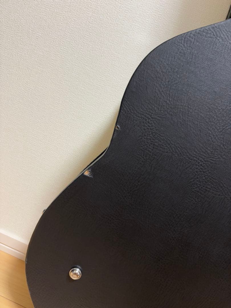 ポールリードスミスSE アンジェラス スタンダード ギター